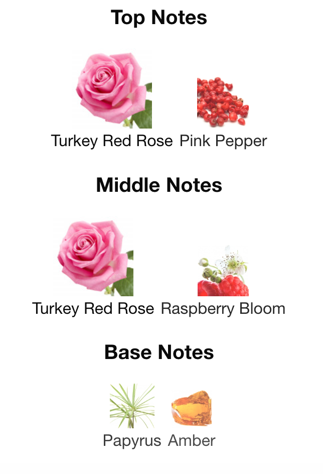 Inspired by Rose Of No Man's Land #33 - Image 2