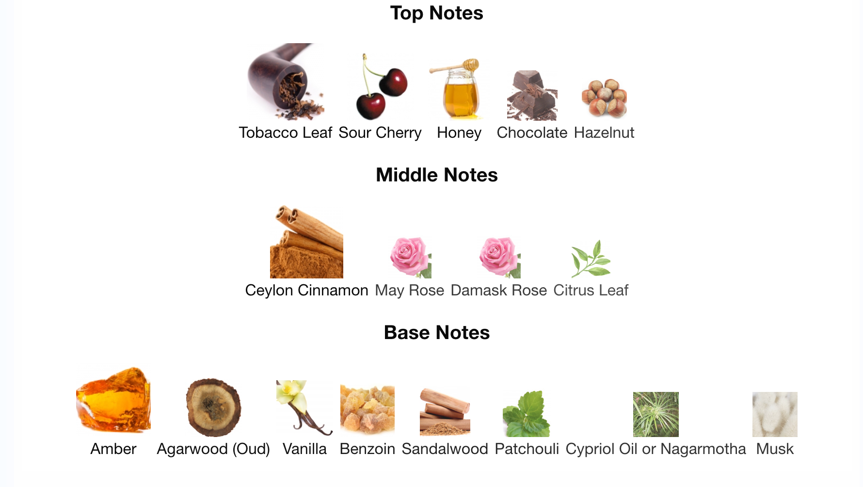 Inspired by Invite Only Amber #47 - Image 2